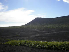 P808.jpg