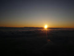 P826010.jpg