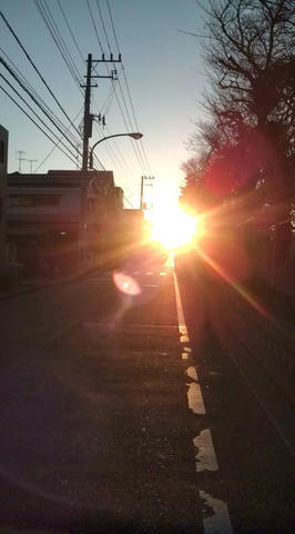 20100124163634.jpg