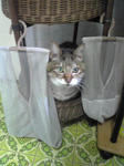 20080404Image018.jpg