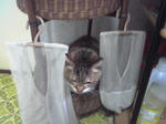 20080404Image020.jpg