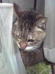 20080404Image021.jpg