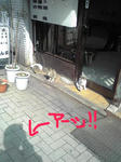 20080404Image033.jpg