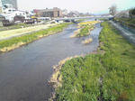 20080404Image0281.jpg