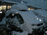 SANY0854.JPG
