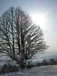 SANY0700.jpg