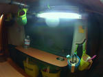 PICT0031.jpg