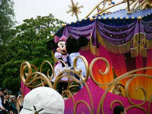 disphoto
