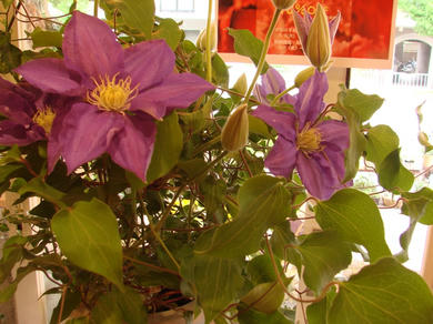 DSC00358.JPG