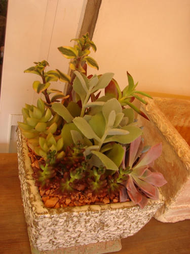 DSC00362.JPG