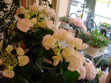 DSC00411-s.jpg