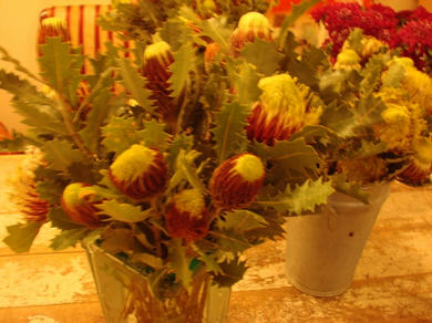 DSC00419.JPG