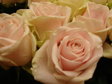 DSC00422.JPG