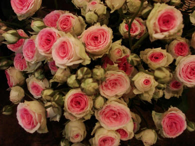 DSC00580.JPG