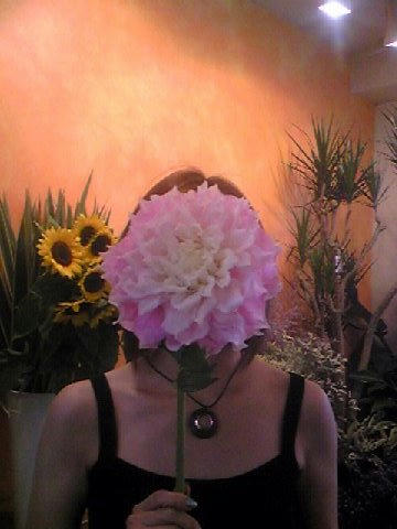 Image2531.jpg