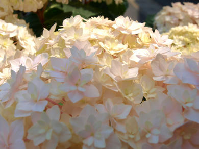 b8d1396e.jpg