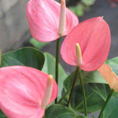 31d62cf3.jpg
