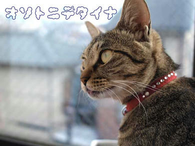 98f0c37b.jpg