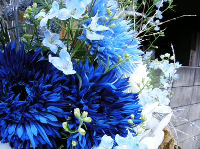 DSCN0523.JPG