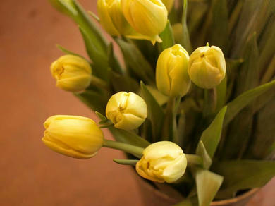 5f633d1e.jpg