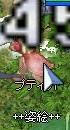 screenses750.jpg