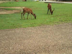 20090810163314.jpg