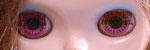 02_anniva_3eye_pi.jpg