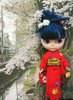 blossom_0211.jpg