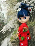 blossom_0411.jpg
