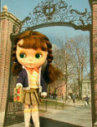 easy_02111.jpg