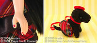 080728_BWT_hgs2.jpg