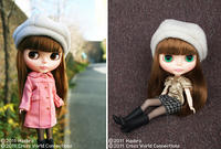 110127_RSB2_swp.jpg