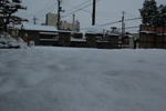 DSC_1629.JPG