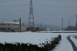 DSC_1643.JPG