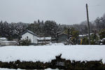 DSC_1653.JPG