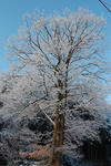 DSC_1669.JPG