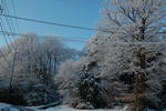 DSC_1671.JPG