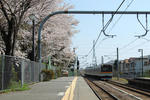 kaneko_station.JPG