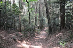 sanpo0429_1.JPG