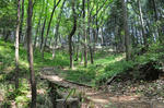 sanpo0429_2.JPG