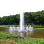 ueno1.jpg