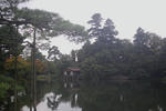 kenroku7.jpg
