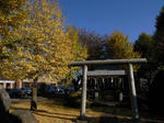 icyo01.jpg