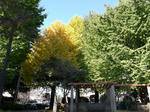 icyo02.jpg