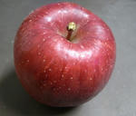 apple.jpg
