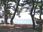 20060806_市営松原1.jpg
