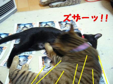 3af6a4b7.jpg