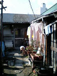 050.jpg