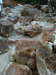nara09.jpg