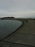 IMG_5249.jpg
